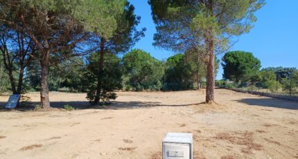 Elne Maison neuve - 2678454-4671annonce120261015CDrr6.jpeg Maisons Balency