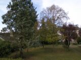 Terrain à bâtir à Boissise-la-Bertrand (77350) 2678901-4684annonce220250912IZBJc.jpeg Maisons Balency