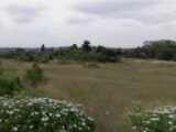 Maison à construire à Longpont-sur-Orge (91310) 2678920-4684annonce1202511074nrOv.jpeg Maisons Balency