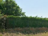 Maison à construire à Morigny-Champigny (91150) 2681060-11968annonce120261017LEpvQ.jpeg Maisons Balency
