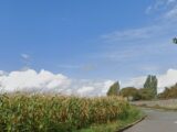 Maison à construire à Avrainville (91630) 2691426-11148annonce120260425W4EzZ.jpeg Maisons Balency